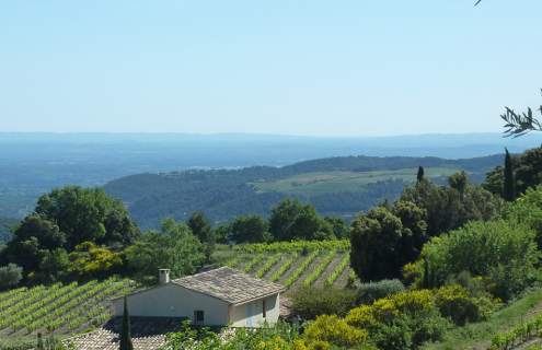 Vignoble Appellation Côtes-du-Rhône régional