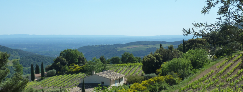 Vignoble Appellation Côtes-du-Rhône régional