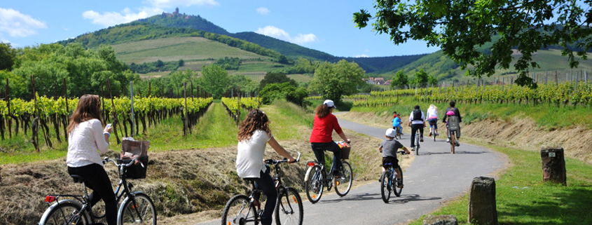 Bicycle ride Alsace wine road, Alsace wine route