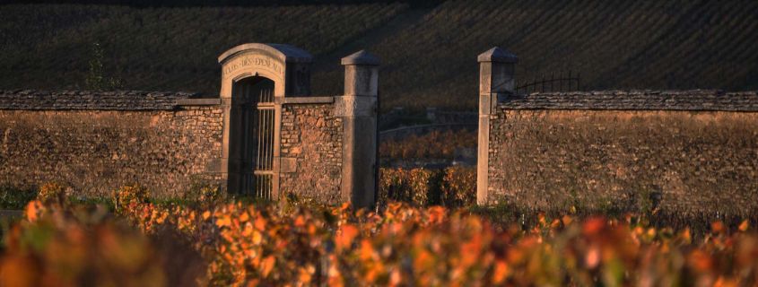 Burgundy wine tour from Dijon - Premiers Crus and Grands Crus full day