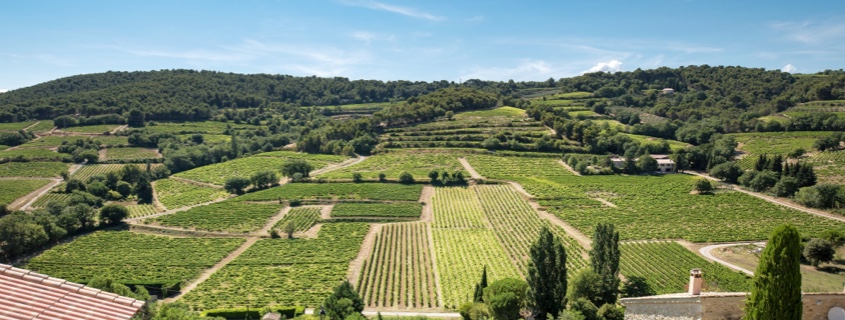 route des vins provence