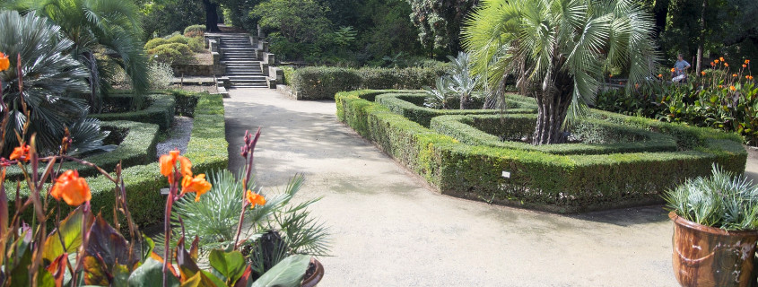 Botanical garden Montpellier France, jardin des plantes montpellier