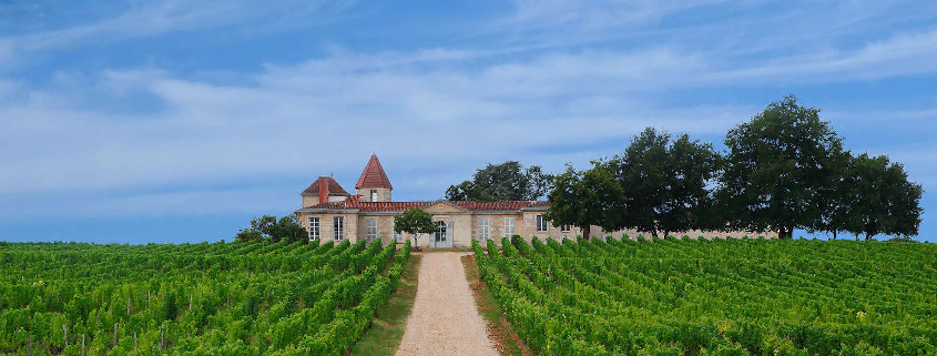 chateau rabaud promis sauternes, wine tasting