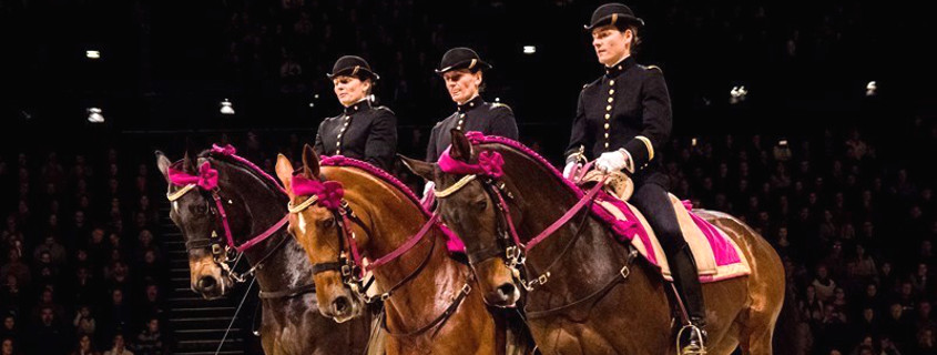 horsemen of cadre noir saumur, national school of horse riding saumur, saumur horses