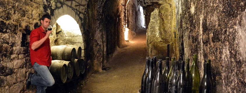 Fabien duveau winery saumur france