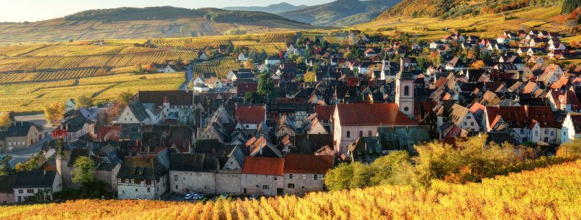 Vignoble Route des vins d'Alsace en automne