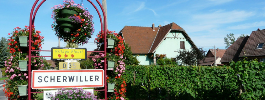 Route des vins d’Alsace, Alsace, Visiter l’Alsace, Que faire en Alsace, Vignoble Alsace, Scherwiller