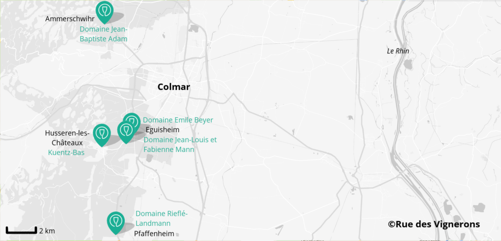 Wineries close to Colmar, colmar surroundings, visit winery colmar, wine tasting colmar