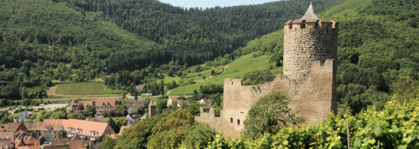 Kaysersberg's castle, castle kaysersberg, kaysersberg