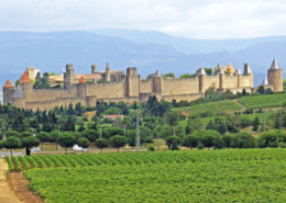 Route des vins en Corbières et en Pays Cathare, route des vins corbières, route des vins pays cathare, route des châteaux cathares, route des vins languedoc, route des vins narbonne, route des vins carcassonne, route des vins limoux, route des vins minervois, route des vins corbières