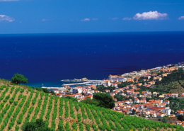 Route des vins du Languedoc-Roussillon, route des vins en Languedoc Roussillon, route vins languedoc roussillon, route des vins du sud, itinéraire route des vins languedoc roussillon