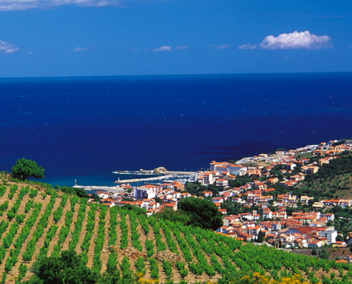 Route des vins du Languedoc-Roussillon, route des vins en Languedoc Roussillon, route vins languedoc roussillon, route des vins du sud, itinéraire route des vins languedoc roussillon