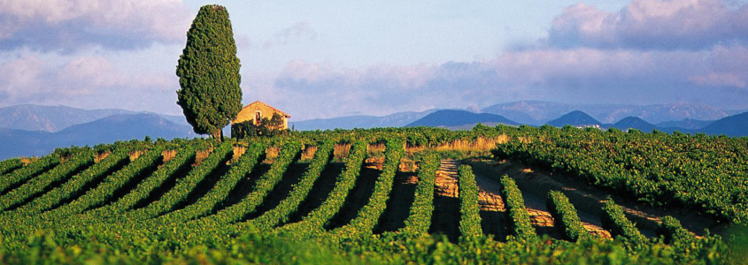 Route des vins de Béziers à Sète, route des vins béziers, route des vins Sète, route des vins st chinian, route des vins faugères, route des vins languedoc