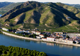 Route des vins de la Vallée du Rhône nord, faire la route des vins du rhône nord, route des vins vallee du rhone septentrionale, découvrir la route des vins de la vallee du rhone nord, dégustation route des vins du rhone nord, visite domaine route des vins vallee du rhone nord