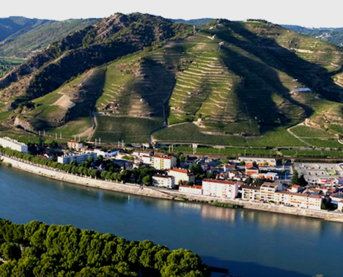 Route des vins de la Vallée du Rhône nord, faire la route des vins du rhône nord, route des vins vallee du rhone septentrionale, découvrir la route des vins de la vallee du rhone nord, dégustation route des vins du rhone nord, visite domaine route des vins vallee du rhone nord