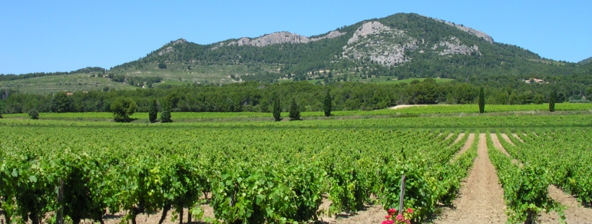 Route des vins de la Vallée du Rhône sud, faire la route des vins du rhone sud, route des vins rhone meridionale, route des vins chateauneuf du pape, route des vins gigondas, route des vins du rhone du sud
