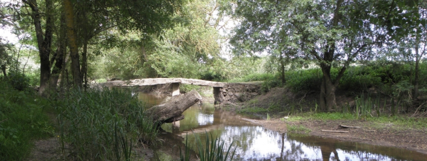 Pont mégalithique d'Artanne sur Thouet
