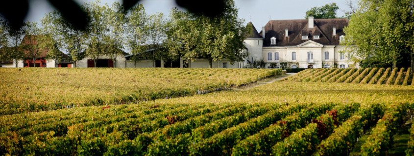 Guide des vins de Bordeaux