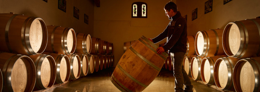 Histoire des vins de Bordeaux, guide des vins de bordeaux