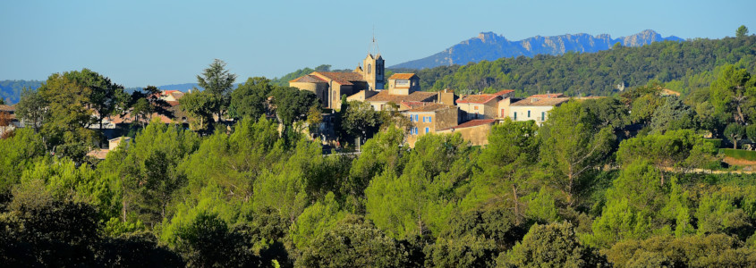 Vignoble du Languedoc Roussillon