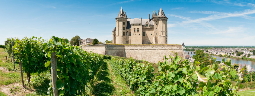 Vignoble de Loire