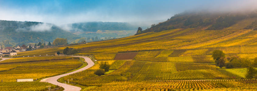 Route des Vins Dijon, Vignoble Bourgogne, Visite Bourgogne