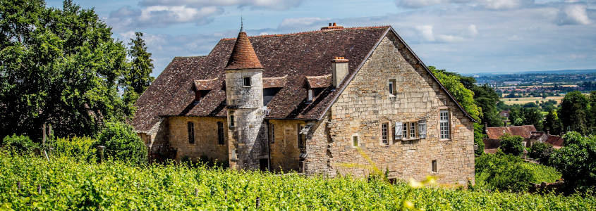 Route des Vins de Dijon