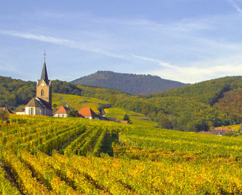 Route des vins de Colmar, Alsace, Visiter l'Alsace, Route des vins d'Alsace, Colmar, Que faire en Alsace