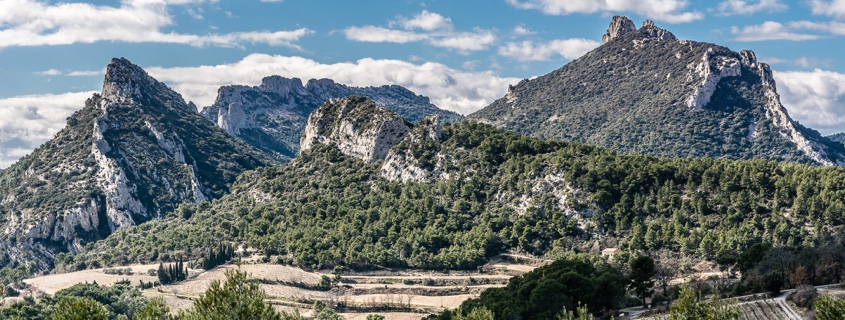 Vue sur vignoble, Vallée du Rhône Sud, vigne, montagne