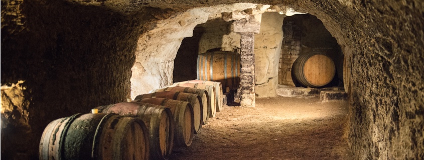 Visite caves dégustation vignoble nantais val de loire
