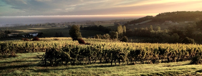 Vignoble du Bergeracois dans le Sud Ouest