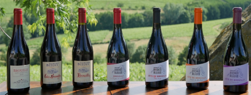 Bouteilles de vin rouge de l'appellation (AOC) Brouilly, dans le Beaujolais