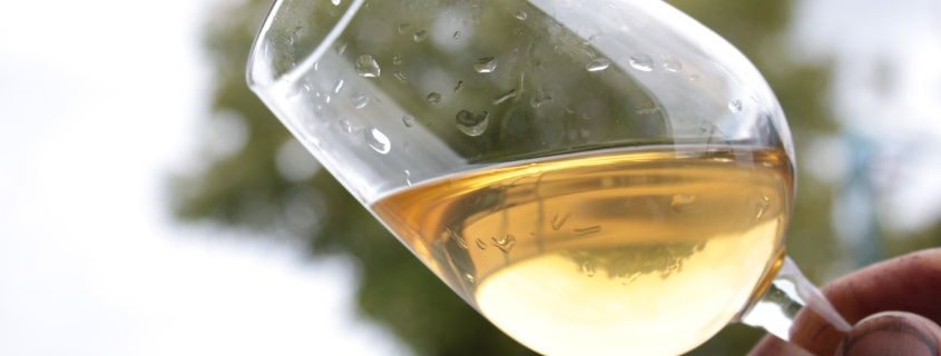 verre de vin blanc sec de l'aoc muscadet, vignoble nantais, val de loire