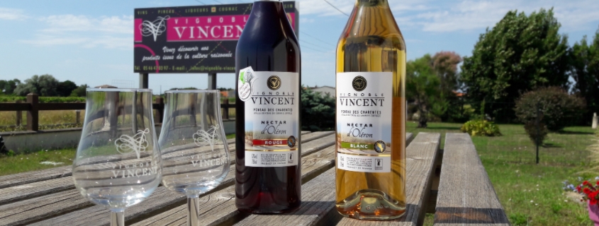 Bouteilles de Pineau des Charentes, vins de liqueur du vignoble de Poitou-Charentes