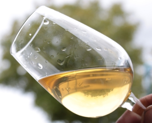 verre de vin blanc de l'aoc muscadet, vignoble du pays nantais, vallée de la loire