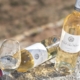 vin blanc de l'aoc bandol, vignoble de provence