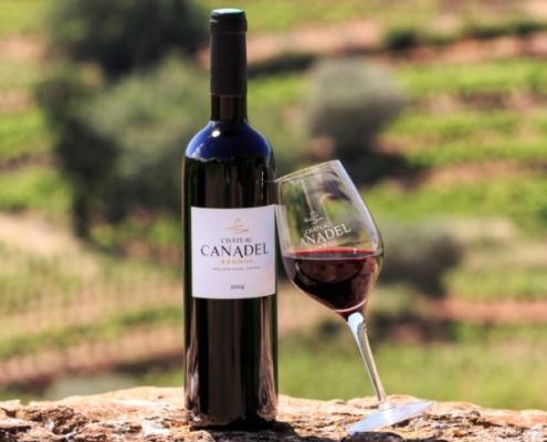 Vin rouge de l'AOC Bandol, dans le vignoble de Provence