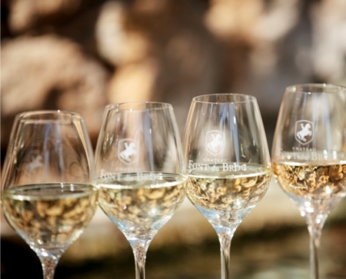 Vin blanc de l'AOC Côtes de Provence