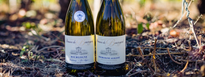 AOC Bourgogne Aligoté, appellation régionale du vignoble de Bourgogne