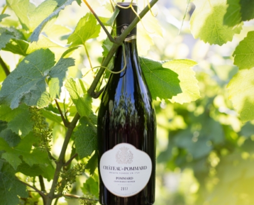 Vin rouge de Pommard, vignoble de la côte de Beaune, Bourgogne