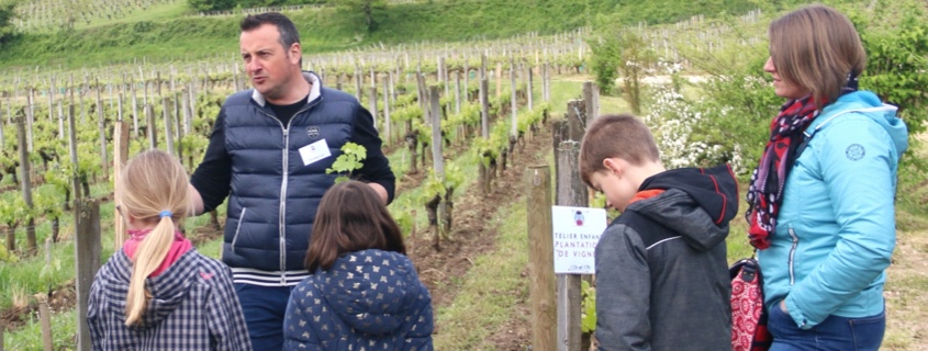 Château Bernateau, Saint-Émilion, visite vignoble famille