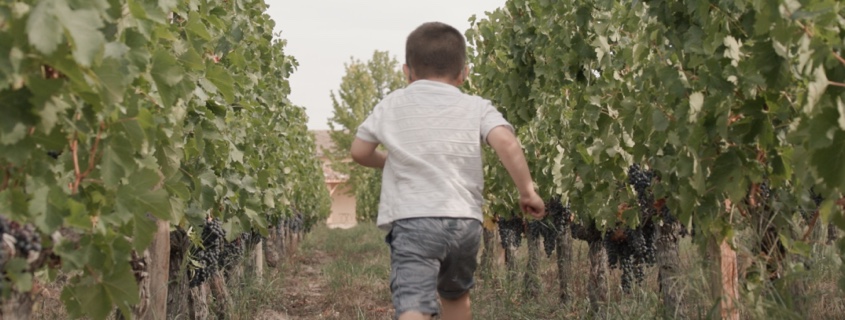 Château Chauvin, Grand Cru Classé, visite vignoble famille