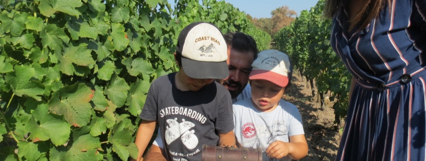 Château d'Eyran Pessac Léognan, visite vignoble famille