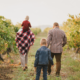 Visite vignoble bordeaux en famille