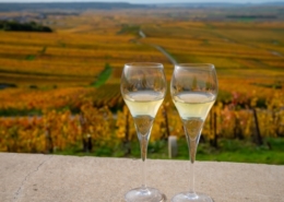 Dégustation de champagne en amoureux a Reims