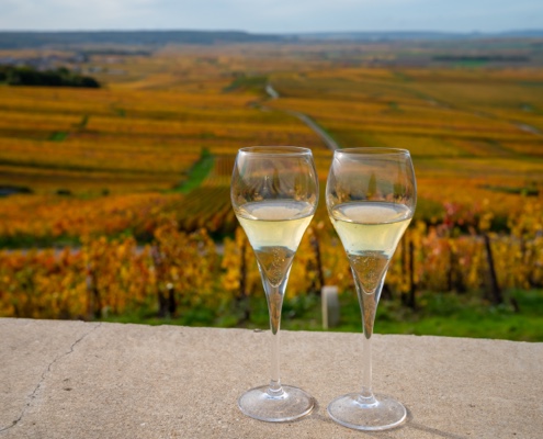 Dégustation de champagne en amoureux a Reims