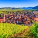 cover plus beaux villages autour de Colmar