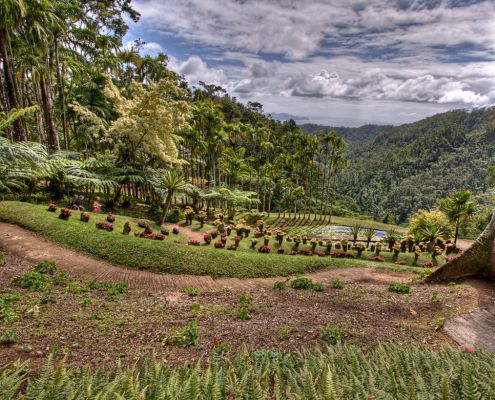 cover visiter la martinique quand il pleut