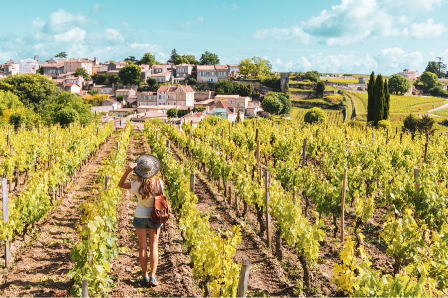 saint emilion vineyard, saint emilion wine region