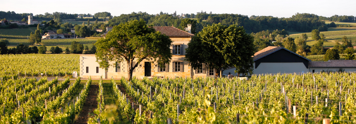 chateau saint emilion